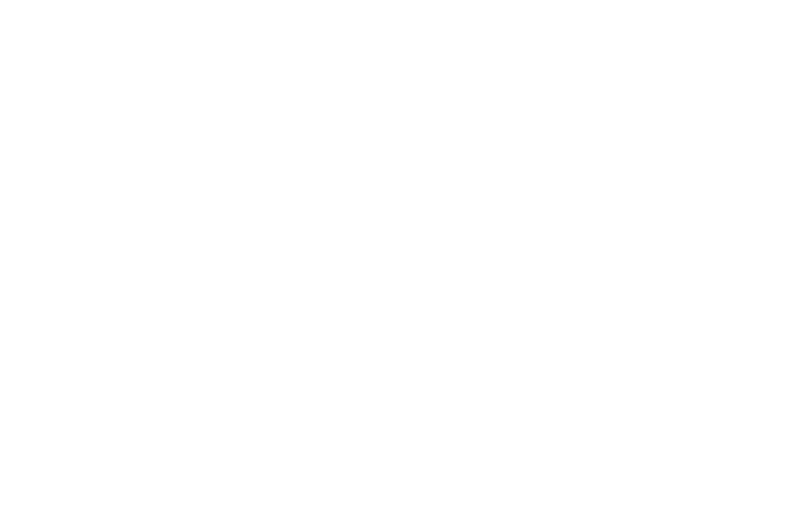 NextdaySheds